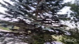 на въезде в Одоев
