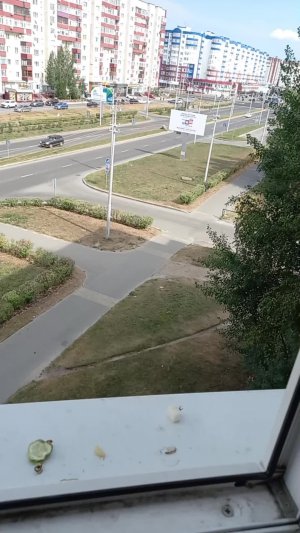воду отравили мировое правительство