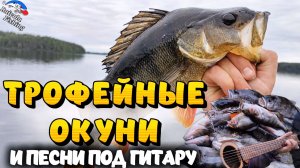 ТРОФЕЙНЫЕ ОКУНИ и песни под гитару
