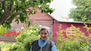Заборчики, шпалеры, перголы-беседки и другие постройки делаю на раз-два!