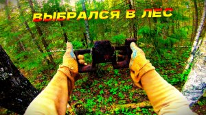 Копаю металл на краю леса вдоль дороги/железо есть/Попадаются траки