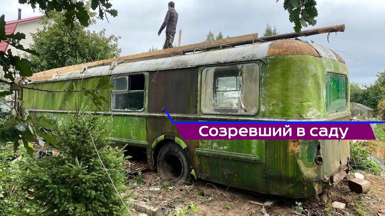 Созревший в саду.