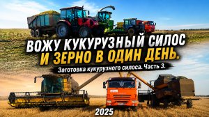 Заготовка кукурузного силоса. Часть 3. Вожу кукурузный силос и зерно в один день