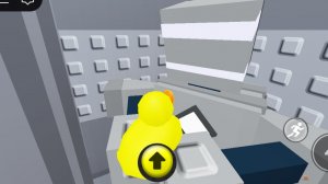 1 иволюция