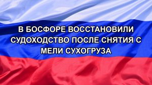 |Н. РФ| В Босфоре восстановили судоходство после снятия с мели сухогруза