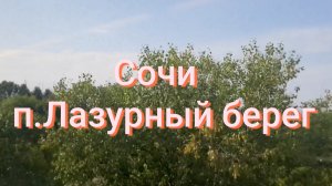 01.08.2026 Сочи. пляж п.Лазурный берег