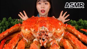 Мукбанг - сырые морепродукты и лосось и сырные закуски - морской стол
