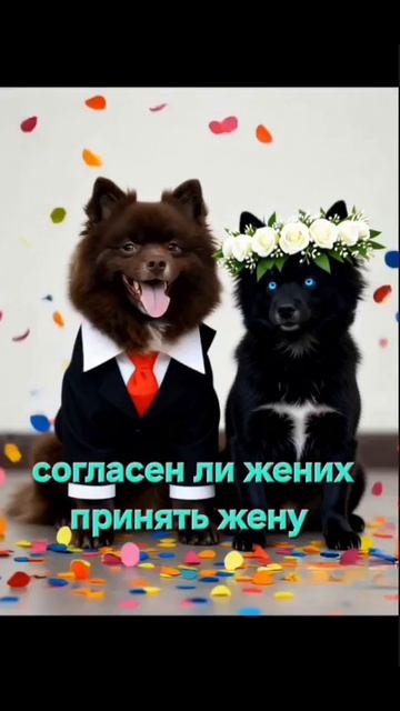 свадьба с Чаком! Юкиша