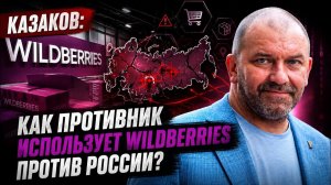 Казаков; как противник использует Wildberries против России?