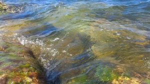 Черное мое в августе. Севастополь