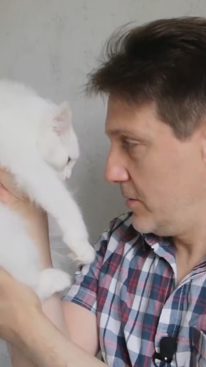 Подобрали на улице котенка.
