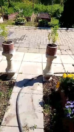 01-08-2026