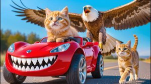 Мама-кошка подстригает шерсть на ферме и делает тигровую шапку для котят дома🐾🎩🐯