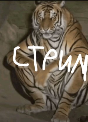 АСМР СТРИМ , Давай поболтаем 👍🙂😀