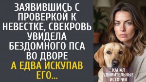 Истории из жизни Заявившись с проверкой к невестке, свекровь увидела бездомного пса во дворе…