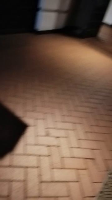 Я в музее поездов