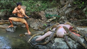 Выживание в тропическом лесу — лягушки и азиатский водяной варан