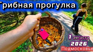 Грибная прогулка 1 августа 2026 Подмосковье
