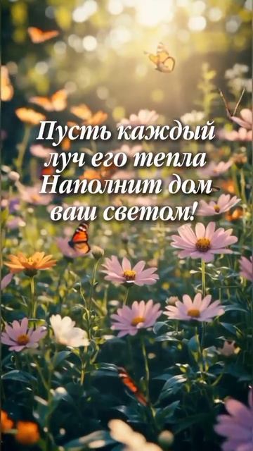 Счастливого августа!
Зарисовка.