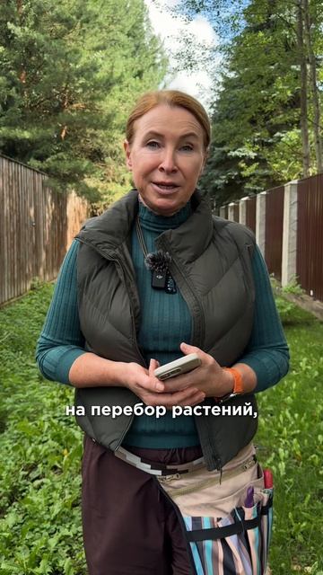 Почему из красивых растений не получается красивый сад.