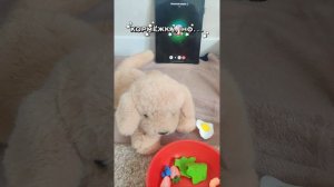 это кормёжка, но продукты будет выбирать пятнистый хищник 🤪😊❤️