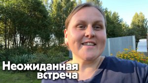 Делаем дела, готовим ужин и произошла неожиданная встреча