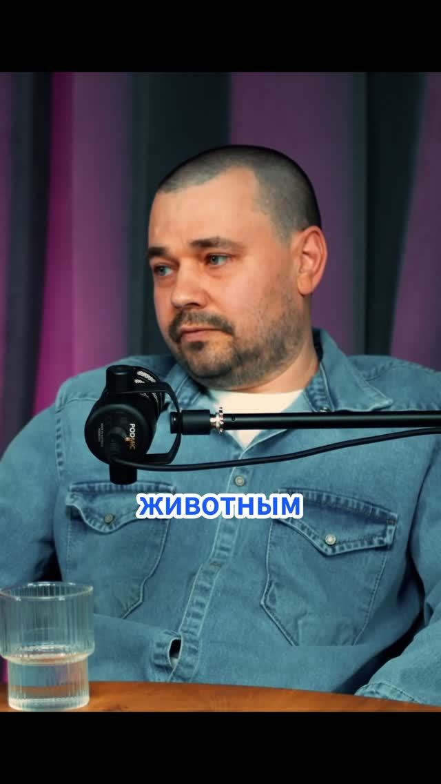 Сырный стейк. Сыроварня Елисеевых / Алиса про Business