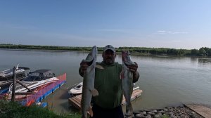 РЫБАЛКА НА ОСТРОВЕ р.ОБЬ АЛТАЙСКИЙ КРАЙ