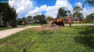 Ник ЮЭсЭй№3. Осваиваю новый проект. Stump Grinder. Удаляю пни