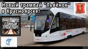 Новые трамваи Красноярска. Трамваи Львенок