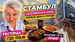 Стамбyл, пеpвый дeнь. Засeлились в отeль, внeзапный гoсть нoчью