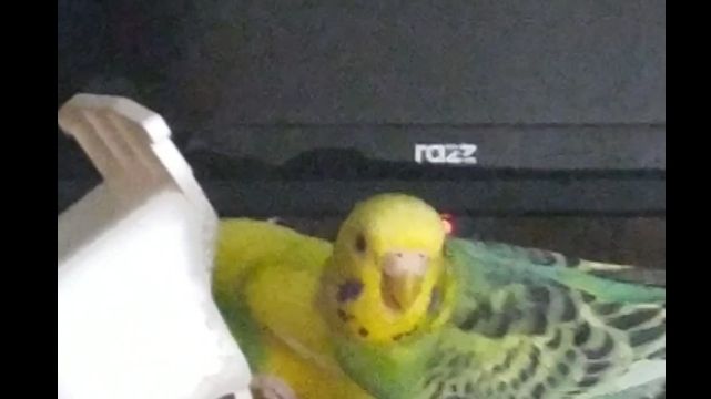 вторая часть предыдущего видео