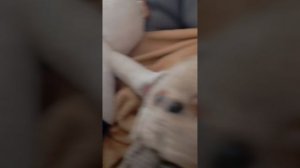 влог с басиками и квасями🐱🐸🐱🐸🐱🐸