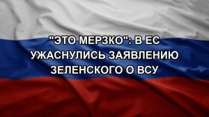 «Это мерзко»: в ЕС ужаснулись заявлению Зеленского о ВСУ