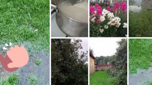 Каша с утра. Вопреки ,порой так.И снова дождь.