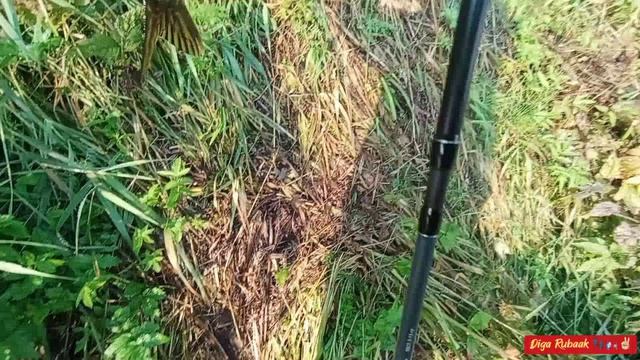 Щучка на вертушку🎣🐊👌