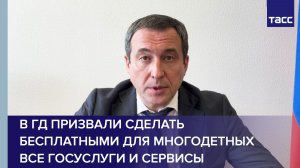 В ГД призвали сделать бесплатными для многодетных все госуслуги и сервисы