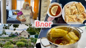Влог/ Меняю собачий на кошачий. Кулинарные рецепты. Дача