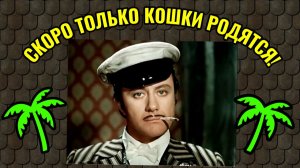 Чем грозит быстрое похудение и как избежать потерь.