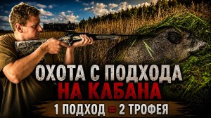 ОХОТА НА КАБАНА С ПОДХОДА. Взял 2 трофея за вечер!
