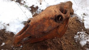 Коп по войне. Гельмут Вайссвальд. Фильм 507.