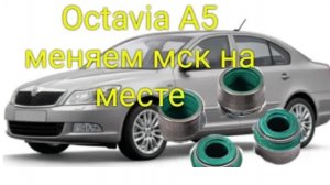 Octavia A5 1.6 меняем маслосъемные колпачки на месте