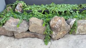 💚 МОТИВАЦИЯ на уборку, чистоту и красоту 💚  НАКОНЕЦ, засыпали погреб...