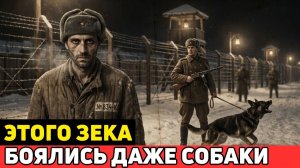 ТАЙНЫЙ БЕГЛЕЦ ЗАКЛЮЧЕННЫЙ, Которого БОЯЛИСЬ ВСЕ СОБАКИ Лагеря