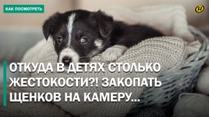 В Борисове девочки похоронили щенков на камеру. Куда смотрели родители?!