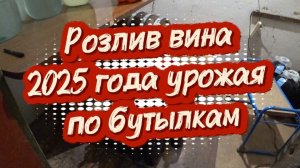 Розлив вина 2025 года урожая по бутылкам