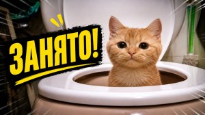 Смех до слёз: лучшие приколы №305