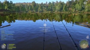 Russian Fishing 4 346 яма на комарином солидней