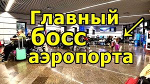 АТМОСФЕРА В ЗОНЕ ВЫЛЕТА АЭРОПОРТА СОЧИ: ТИХИЙ НОЯБРЬ И ОДНА ОЧЕНЬ ГРОМКАЯ ДЕВОЧКА! НОЯБРЬ 2025.