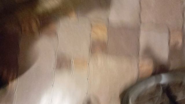 инопланетянин часть 3 |видио
